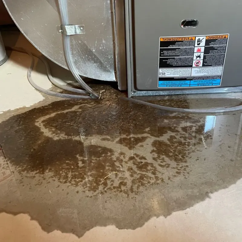 Pipe Burst and Leak Restoration in White Meadow Lake, NJ